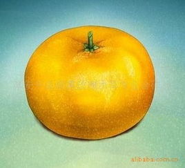 供應(yīng)杭州淳安千島湖多種農(nóng)副產(chǎn)品指導(dǎo)價(jià)與廠(chǎng)商信息——盡在農(nóng)苗網(wǎng)，聚焦淳安千島湖黑玫瑰木耳專(zhuān)業(yè)合作社